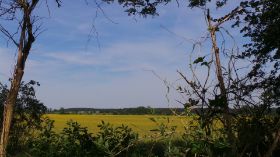 20160522_103246.JPG